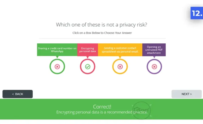 Quiz Q1 - Data Privacy Awareness 4-Part PowerPoint Course Preview - Module 1 Data Privacy Fundamentals