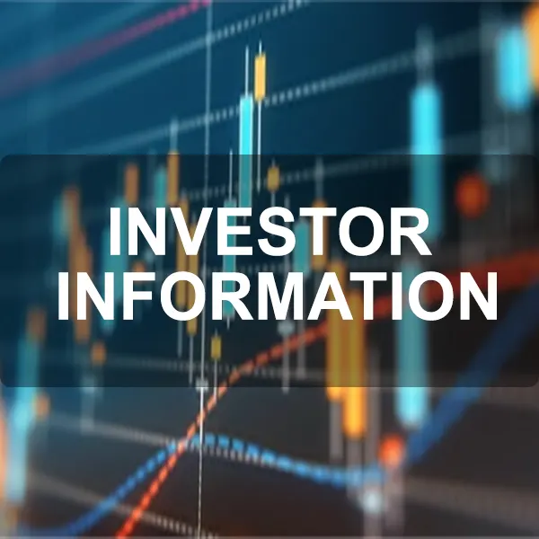 Information for potential investors in DPO Solutions