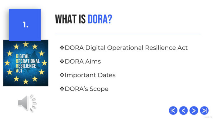 What is the DORA Regulation, DPO Solutions NY