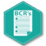 Binding Corporate Rules Icon, BCR GDPR, 3rd country transfers legal instrument, DPO Solutions