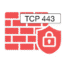 Firewall https icon, TCP port 443, Data privacy icon set, DPO Solutions, Security Icons